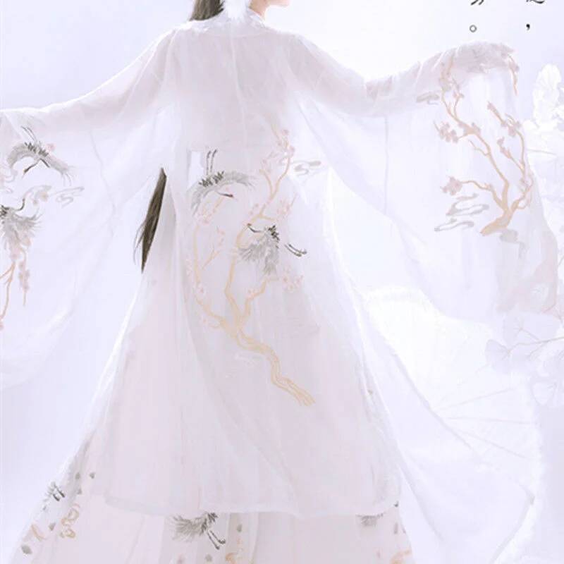 Çin Antik Hanfu kadın Ağır San - Embroidery Skirt incelemesi ve fiyatı