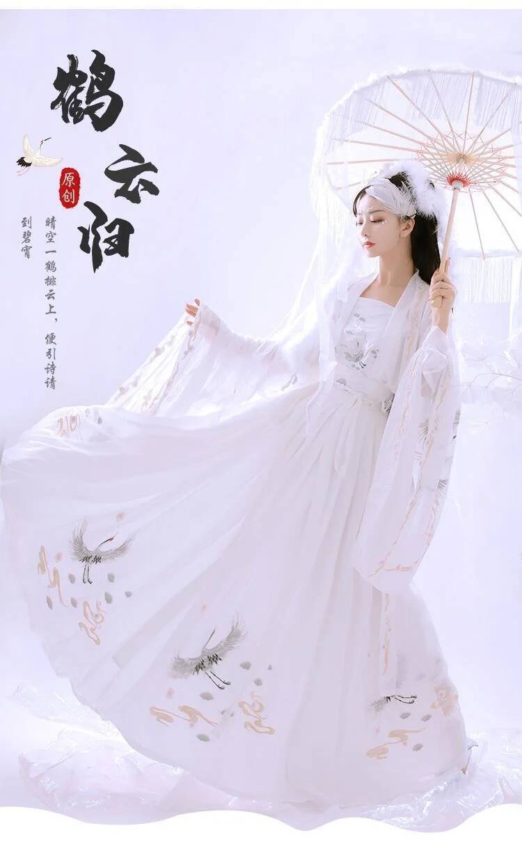 Çin Antik Hanfu kadın Ağır San - Embroidery Skirt incelemesi ve fiyatı